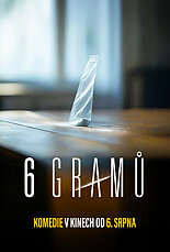 6 gramů